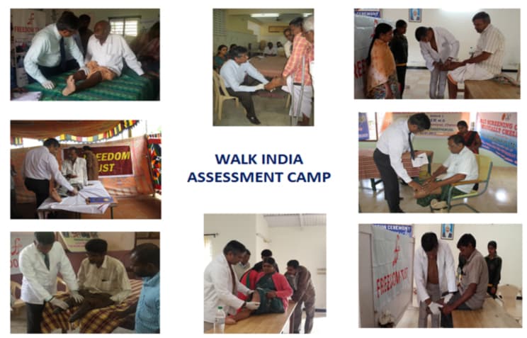 Freedom Trust Activity 18